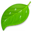 Coda